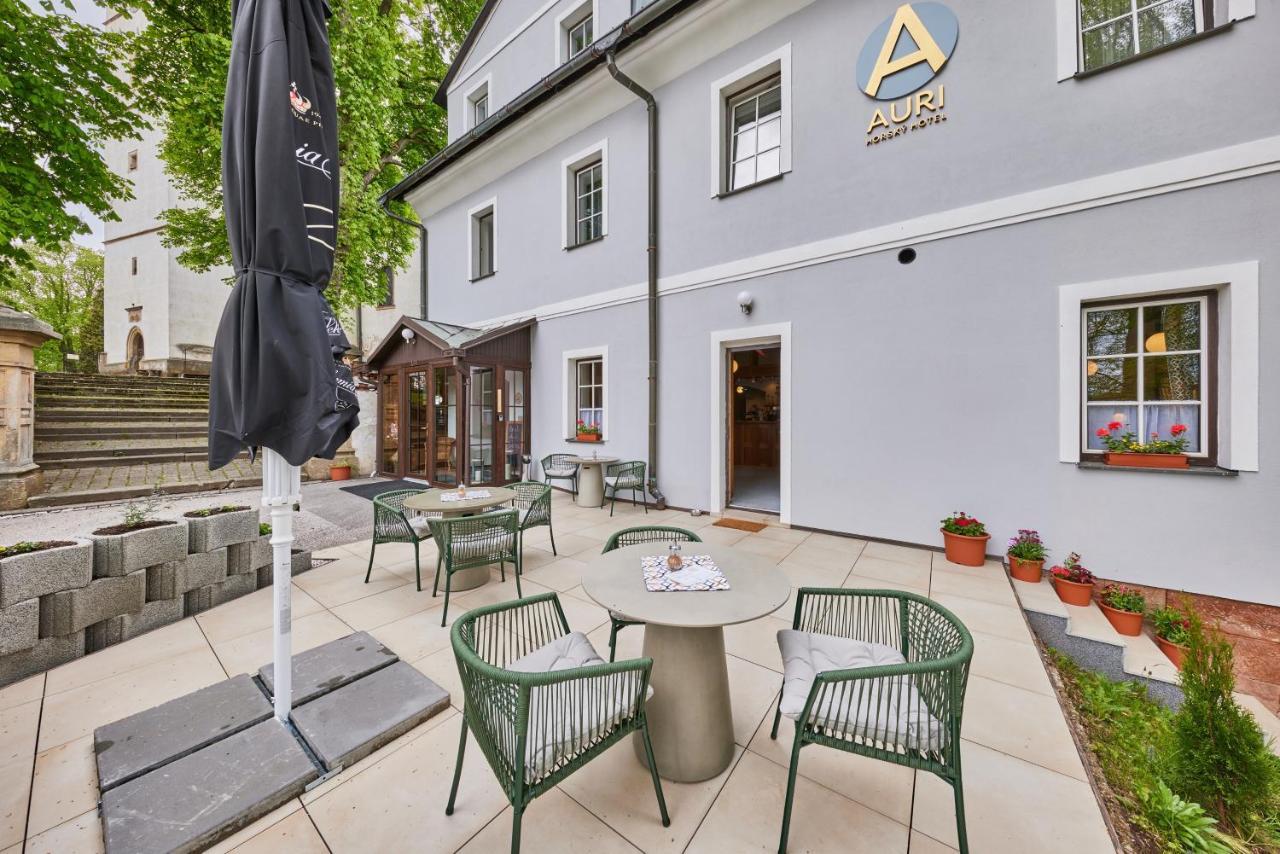 Hotel Auri Rudník Екстериор снимка