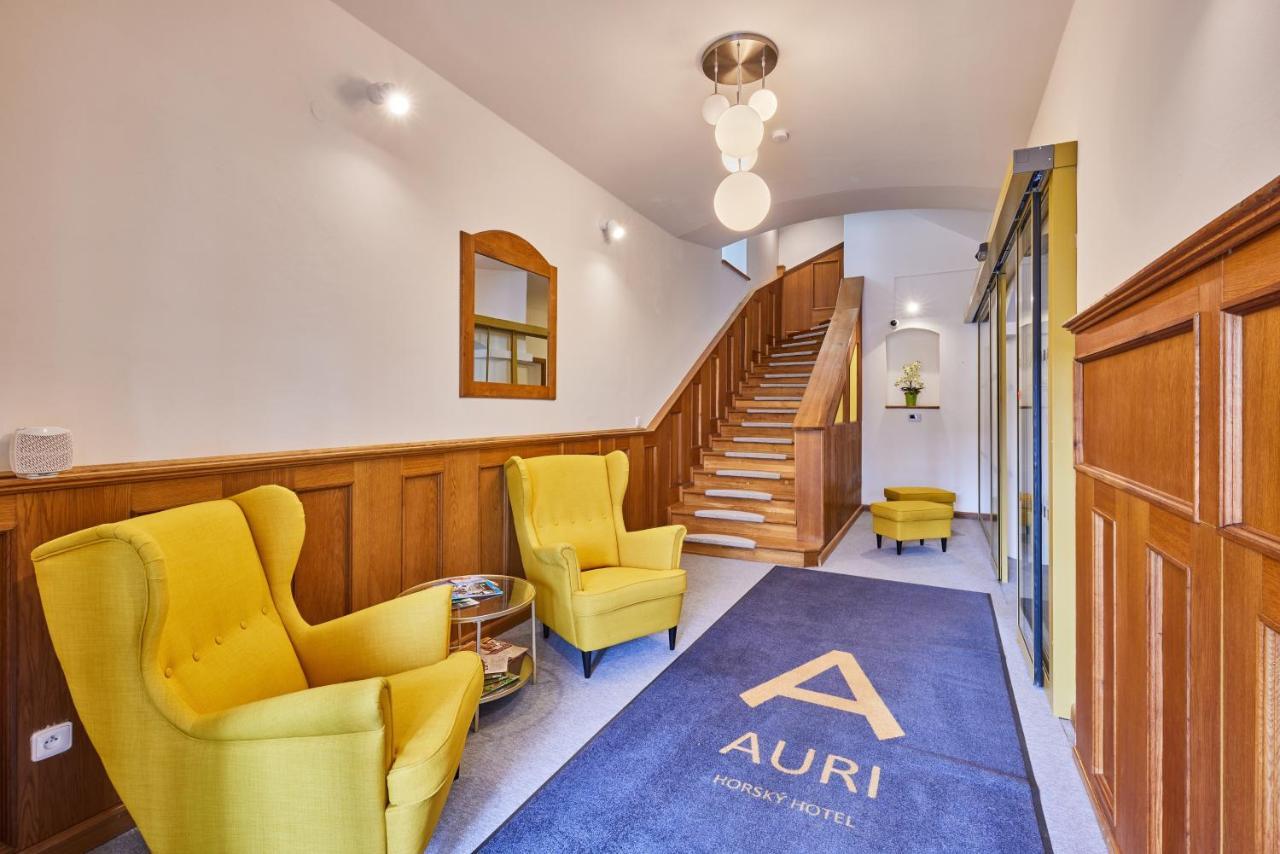 Hotel Auri Rudník Екстериор снимка
