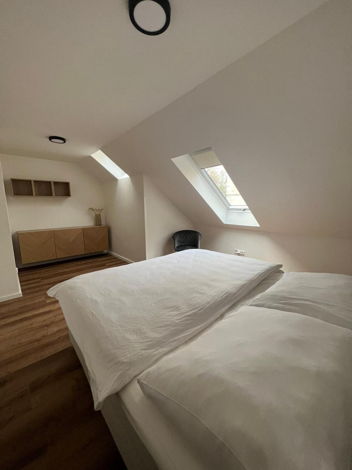 Hotel Auri Rudník Екстериор снимка