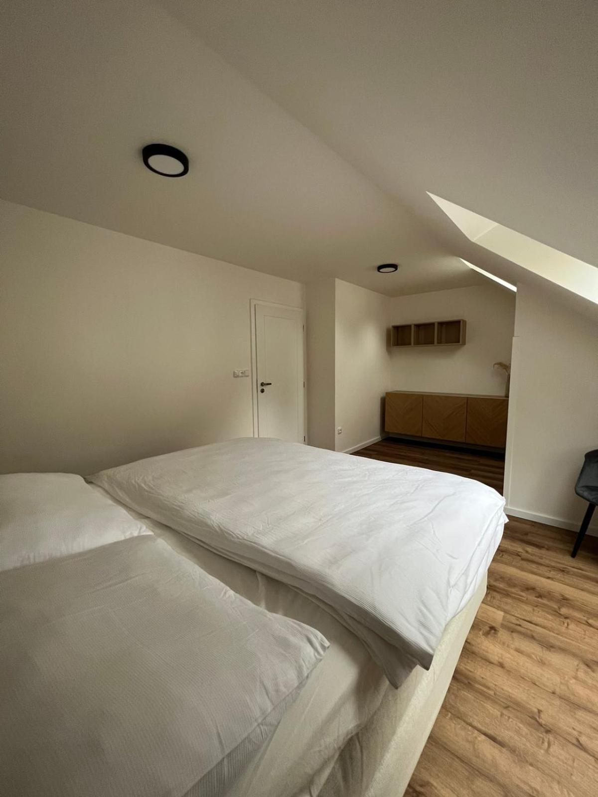 Hotel Auri Rudník Екстериор снимка