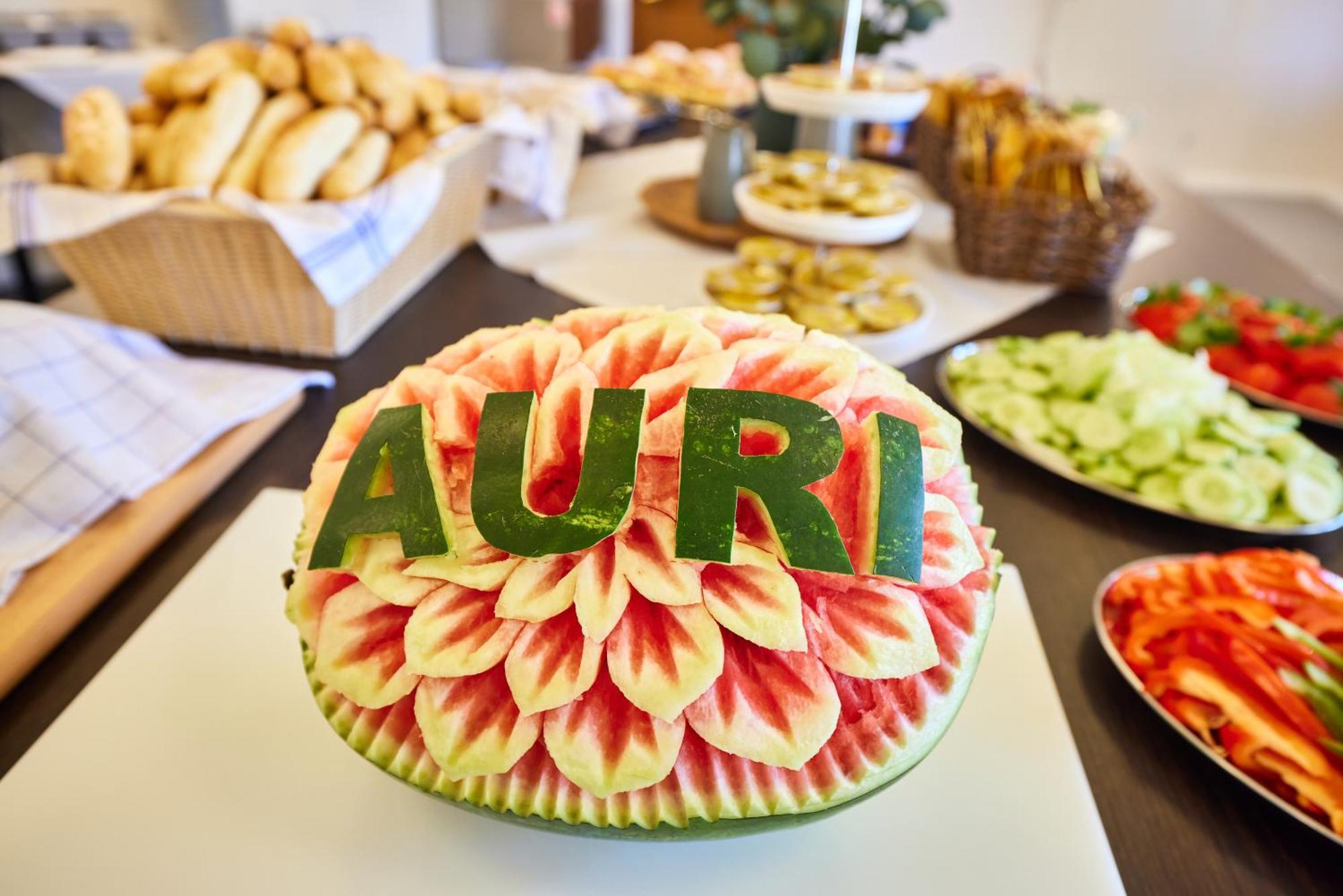 Hotel Auri Rudník Екстериор снимка